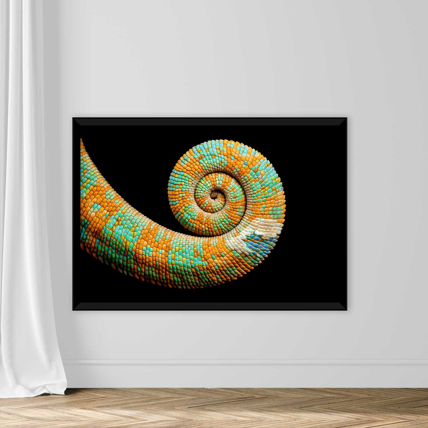 Colored Tail