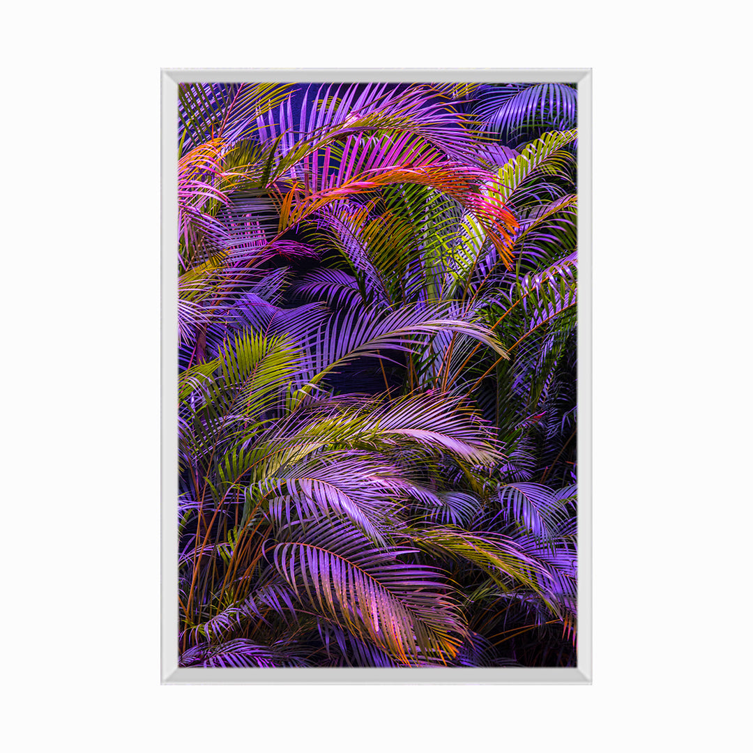 Dreamy palm trees in purple pink colors