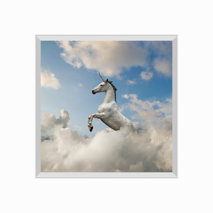 Unicorn In The Cloud