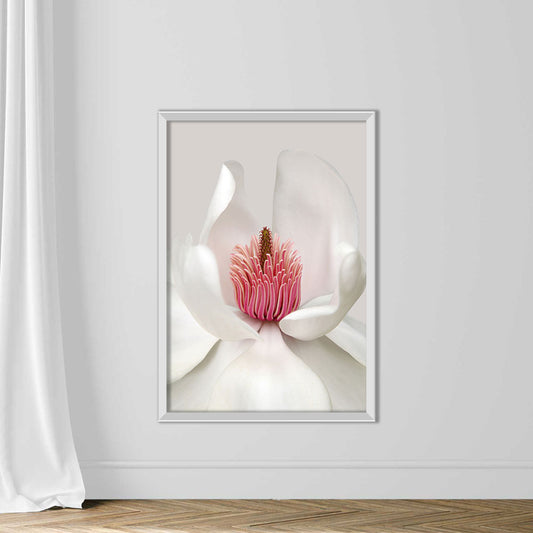 Magnolia