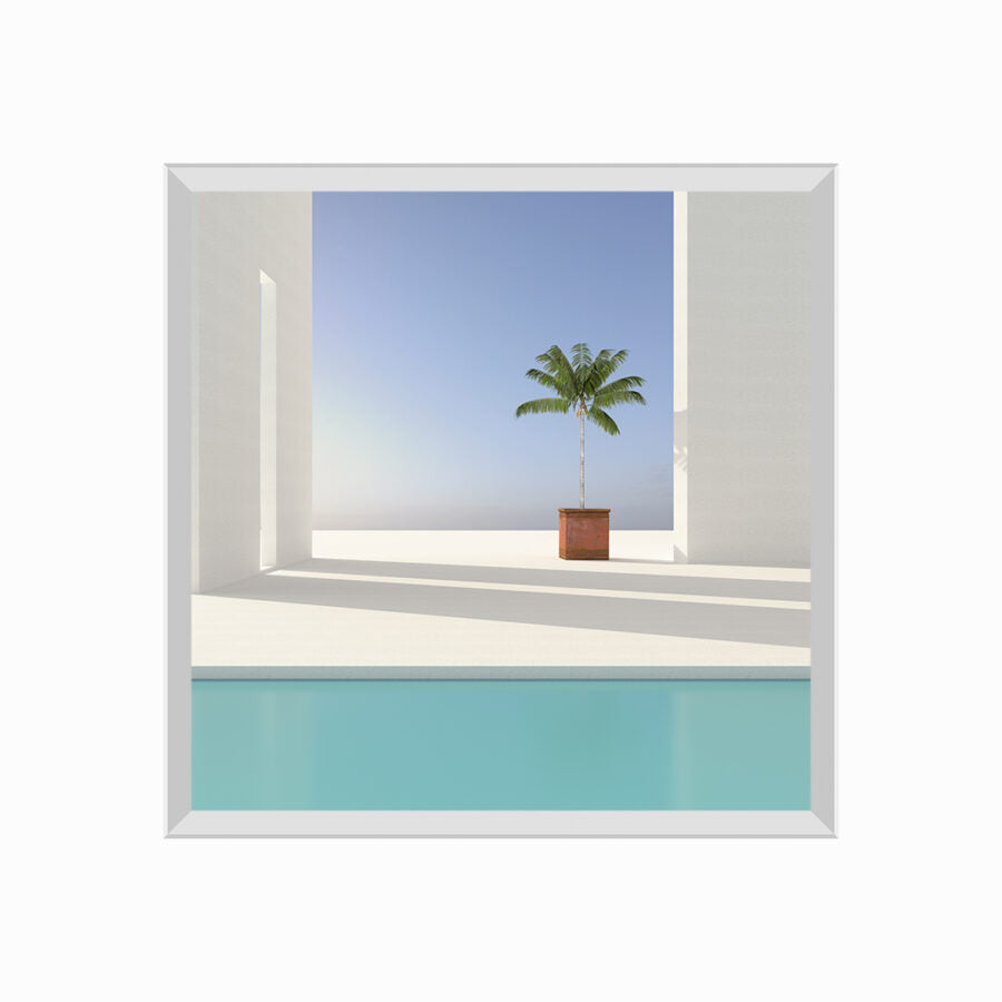 Potted palm tree on terrace, 3D Rendering