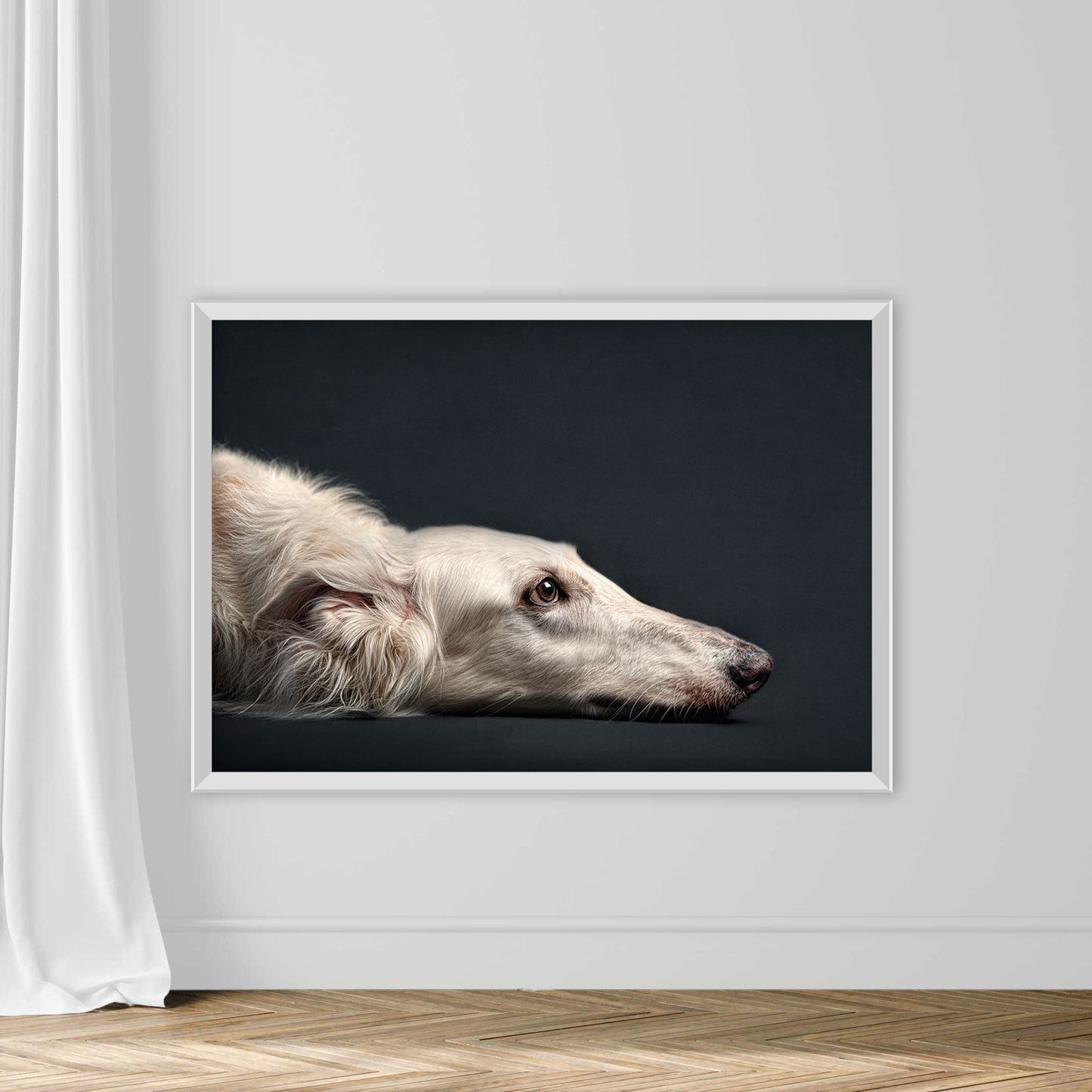 Portrait of dog laying on floor