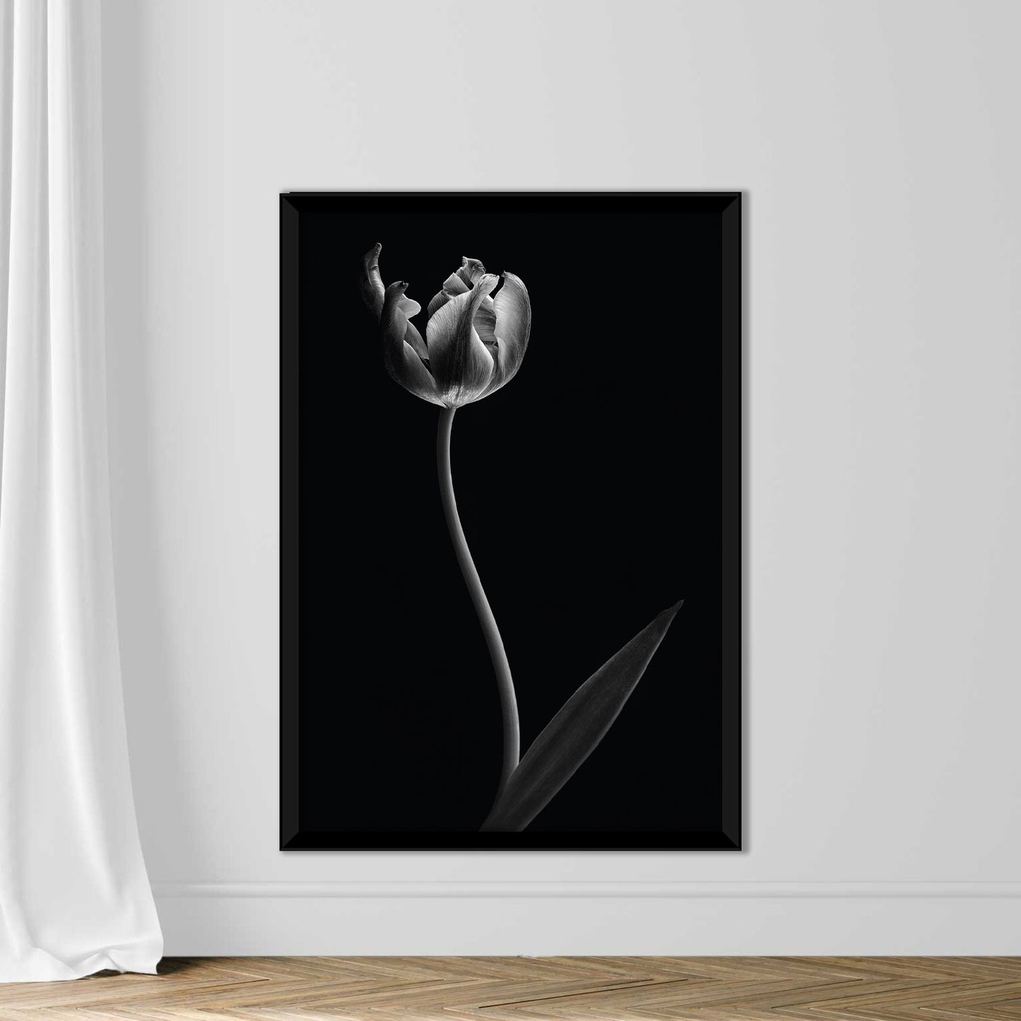 White Tulip