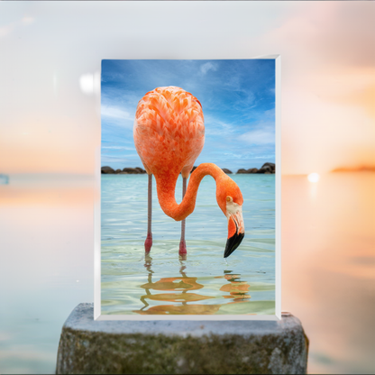 Close-Up Of A Flamingo Against The Sea