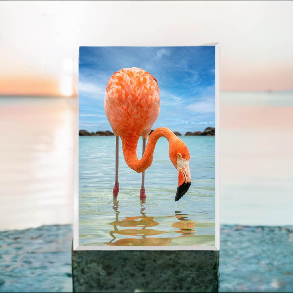 Close-Up Of A Flamingo Against The Sea