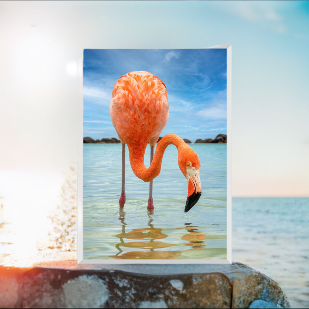 Close-Up Of A Flamingo Against The Sea