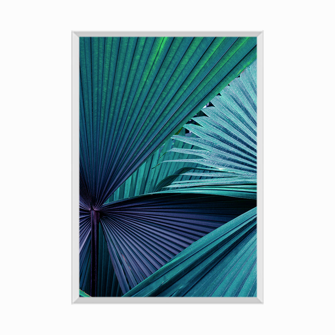 Closeup Tropical Green Leaves Nature And Dark Tone Background Concept