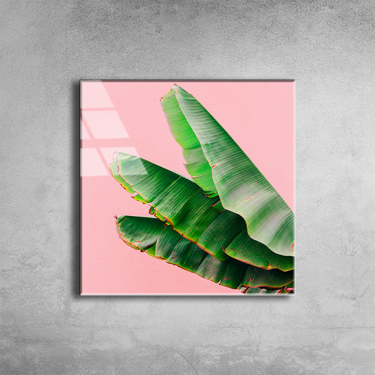 Plants On Pink Concept. Palm