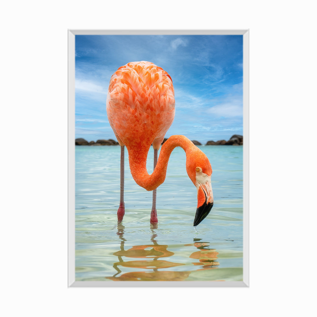 Close-Up Of A Flamingo Against The Sea