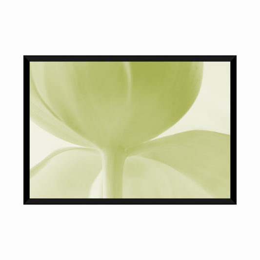 Color manipulated image of a green tulip flower