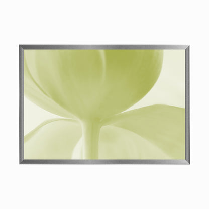 Color manipulated image of a green tulip flower