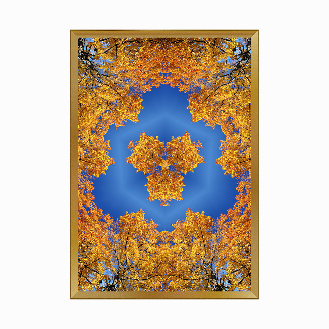 Kaleidoscopic Image in Autumn