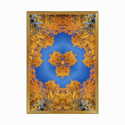 Kaleidoscopic Image in Autumn