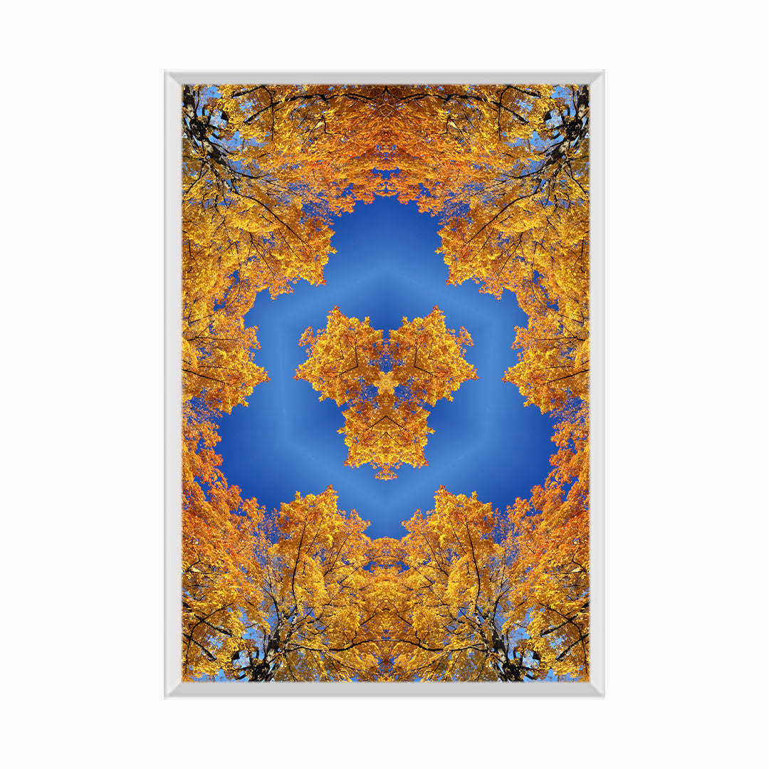 Kaleidoscopic Image in Autumn