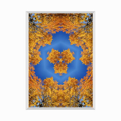 Kaleidoscopic Image in Autumn