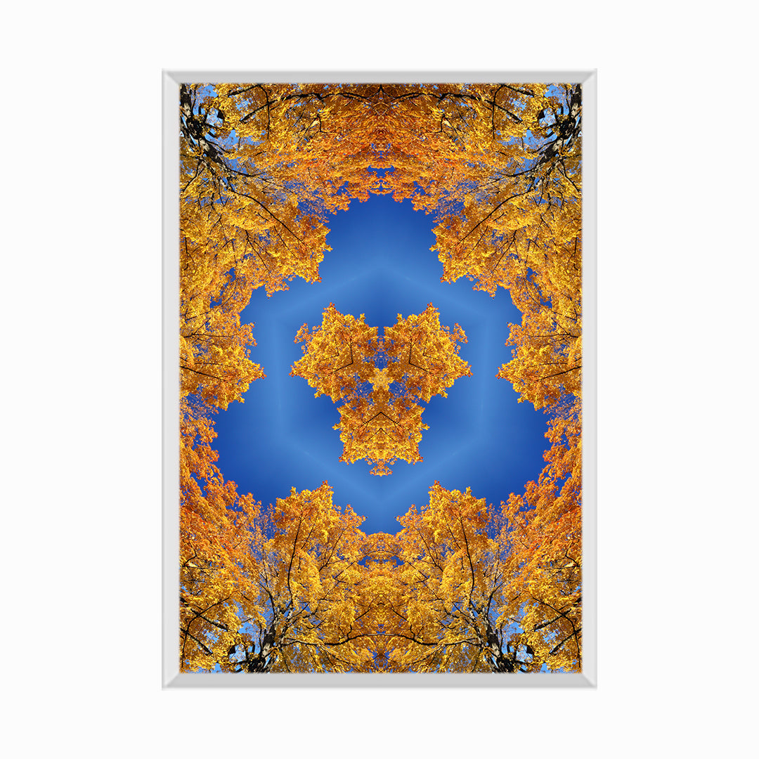 Kaleidoscopic Image in Autumn